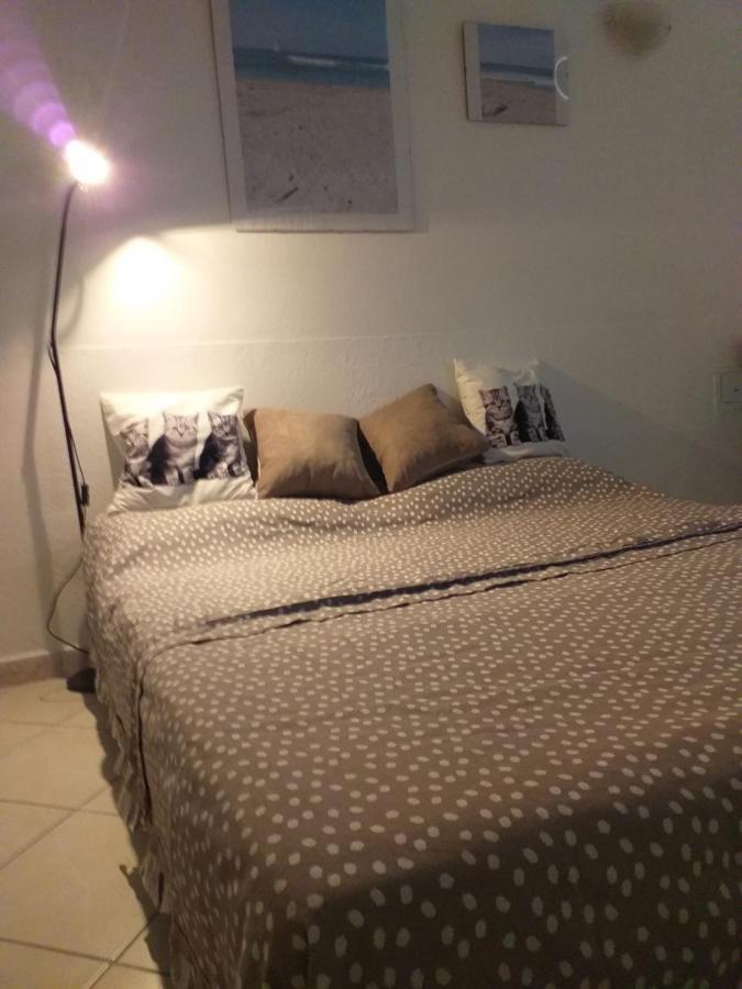 Sea Side Studio Viareggio Zewnętrze zdjęcie