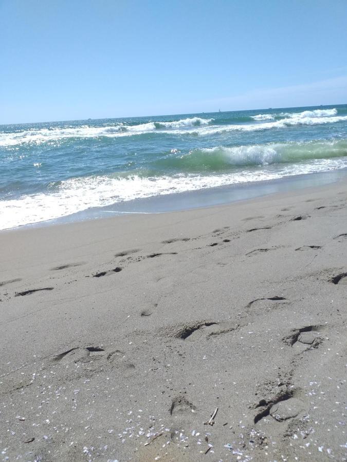 Sea Side Studio Viareggio Zewnętrze zdjęcie